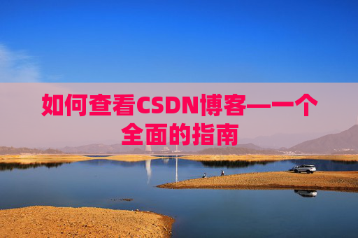 如何查看CSDN博客—一个全面的指南